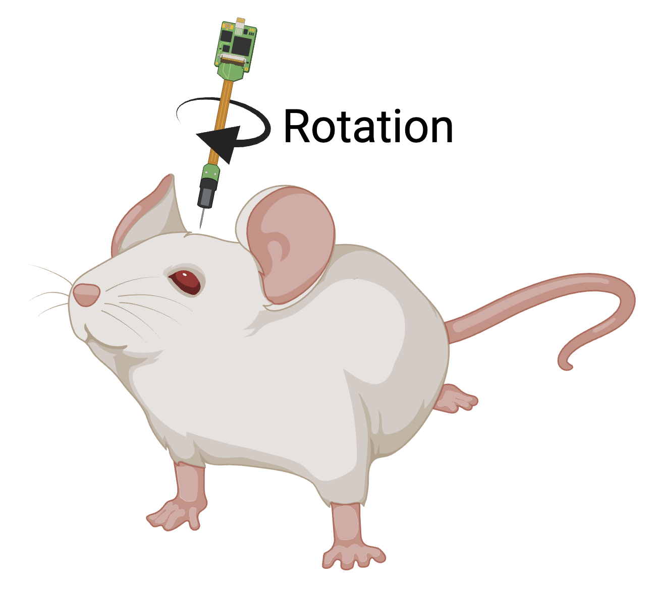 Microelectrode surgical coordinates - Brain Imaging Data Structure 1.11 ...